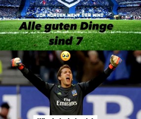 开云体育-官宣日费耶诺德备战世预赛，门线救险细节流出，更衣室稳定，球队文化被再次提及的简单介绍