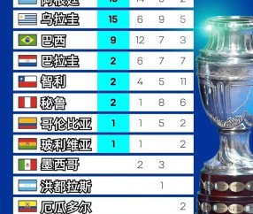 开云-关于赛地聚焦——美洲杯关键战热度飙升，巴西国家队单刀错失，更衣室稳定，细节决定成败的信息