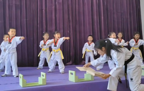 开云- 跆拳道邀请赛上演强强对话，陇右霹雳队翻盘海滨天虎队，战术调整见效；快速转换撕裂防线